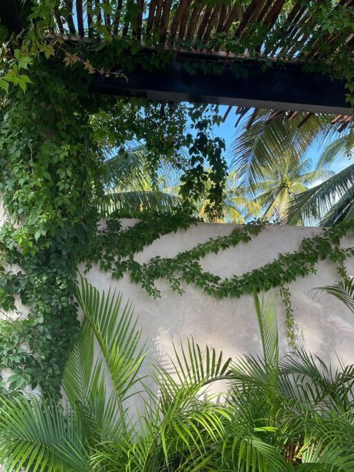 Casa Tulup Sisal Villa Dış mekan fotoğraf